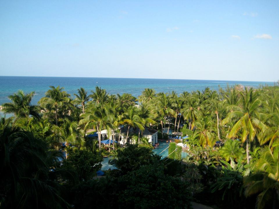 417931_10101636727252323_1369018092_n