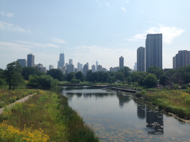 View from Lincoln Park Zoo