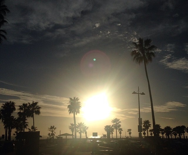 Venice Ale House Sunset 