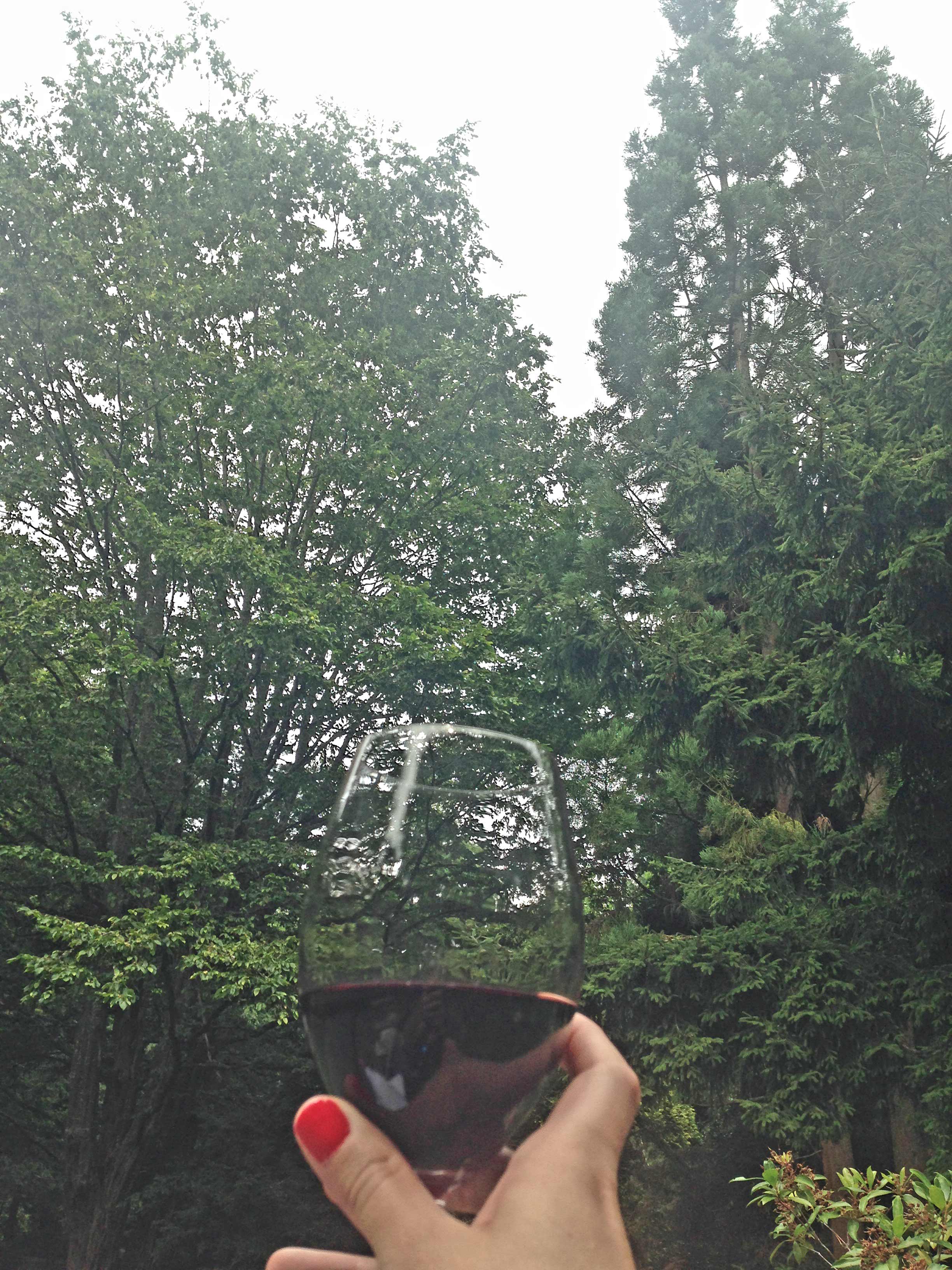 Wine in Tress, JM Cellars