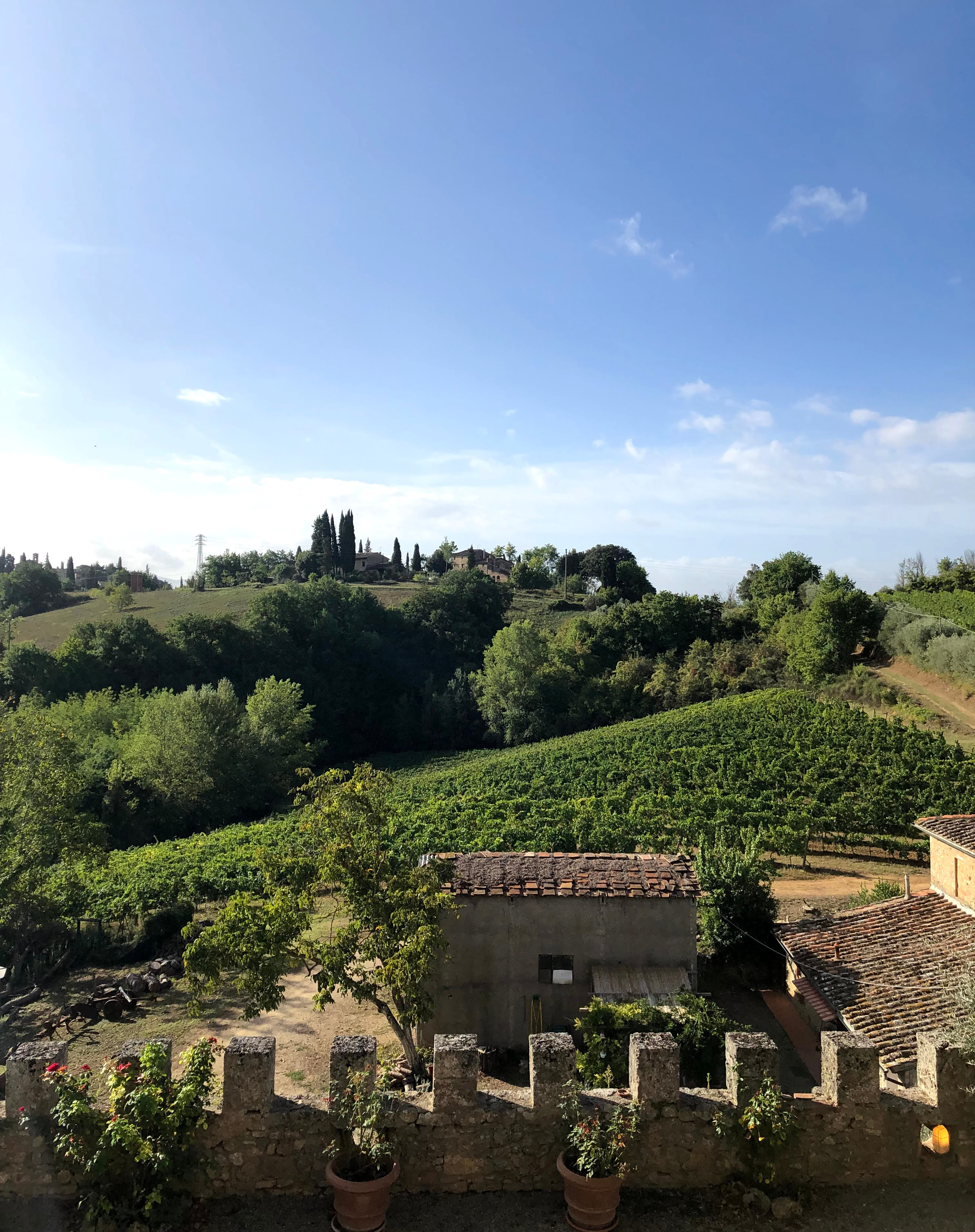 View from the back of Castello di Badia