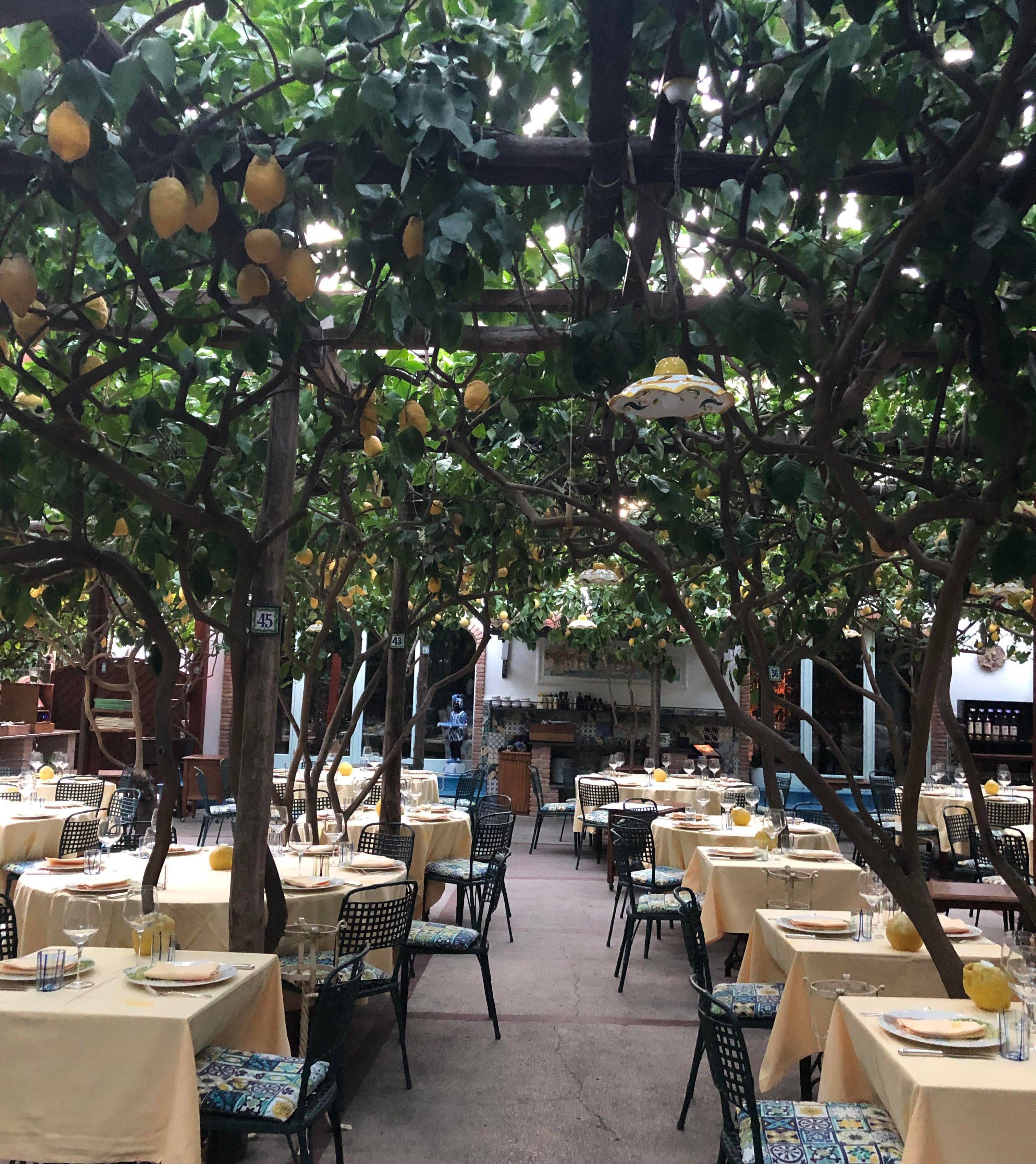 Da Paolino Lemon Trees